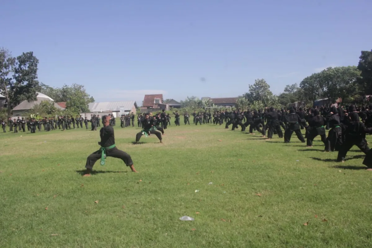 Sebanyak 207 Pesilat Demak Dibaiat Menjadi Warga