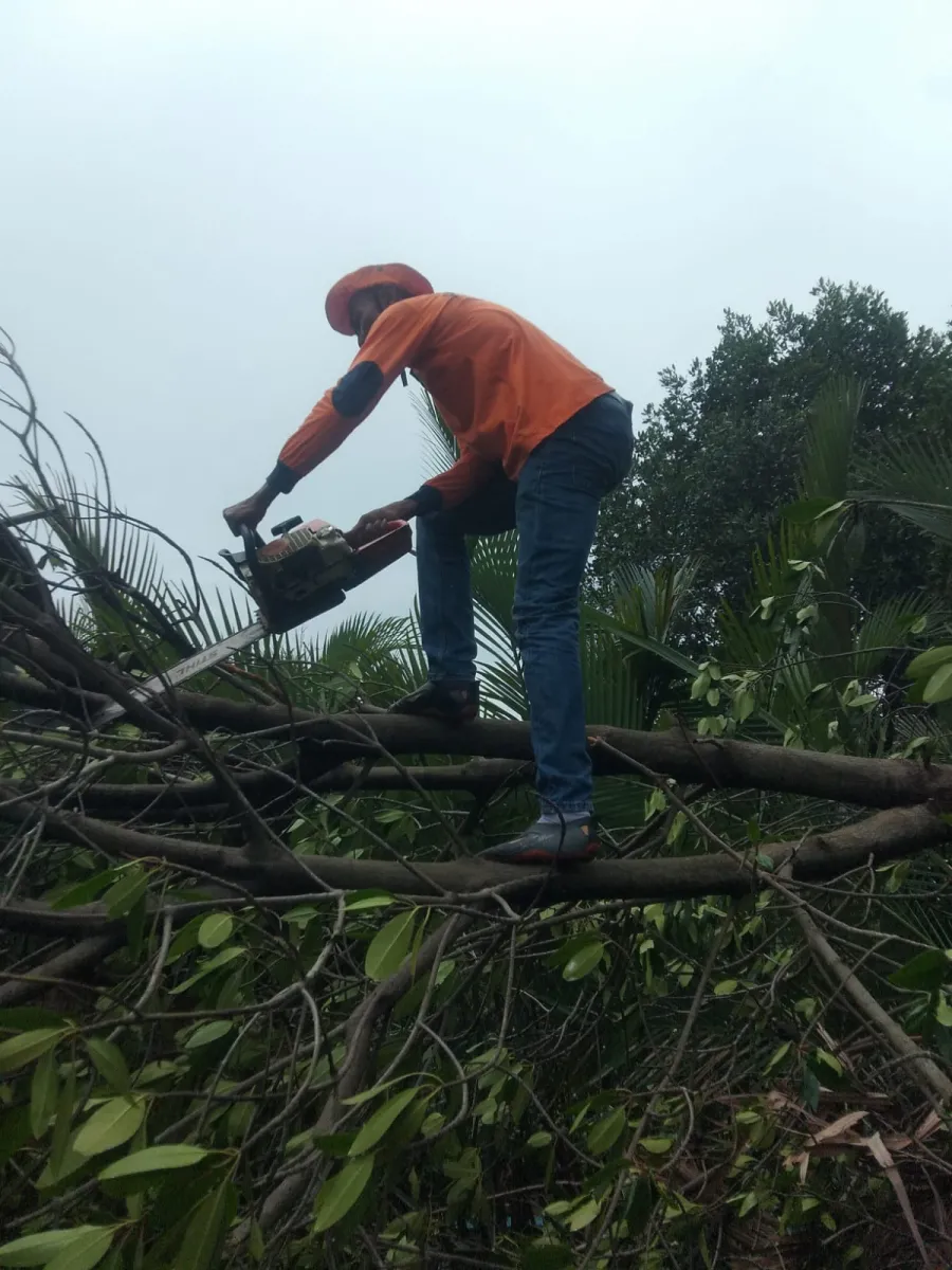 Bencana Alam di Demak; Angin Puting Beliung Robohkan 20 Rumah