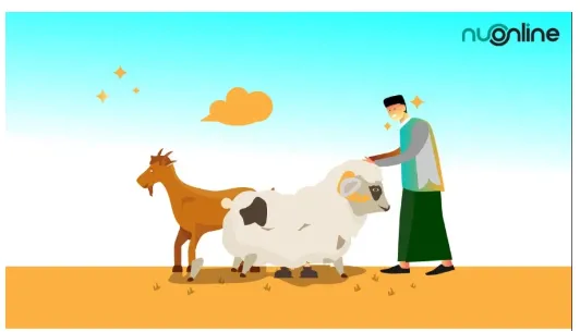 Bolehkah Berkurban sebelum Aqiqah? Perhatikan Hukumnya Agar Sah