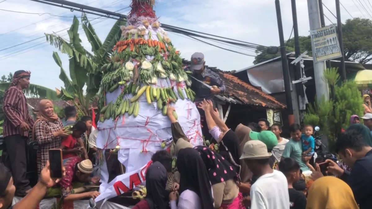 Hasil Bumi Berlimpah, Desa Dempet Adakan Apitan dengan Penuh Syukur