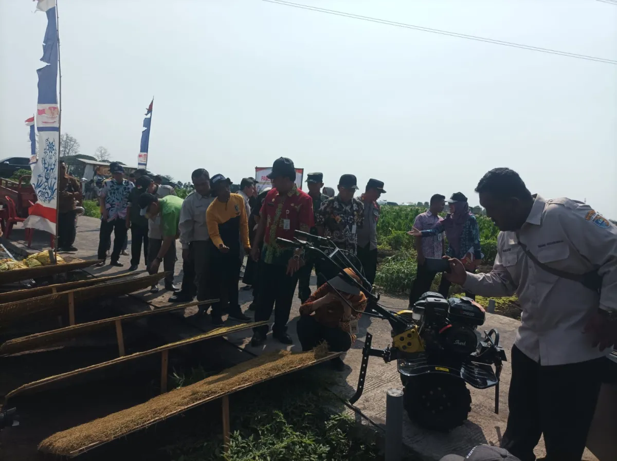 Meningkatkan Kesejahteraan Petani Tembakau melalui Farm Field Day di Mranggen