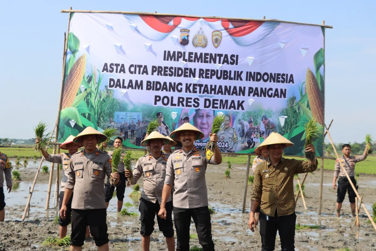 Polres Demak Dukung Program Ketahanan Pangan Melalui Penanaman Padi Serentak di Desa Donorejo