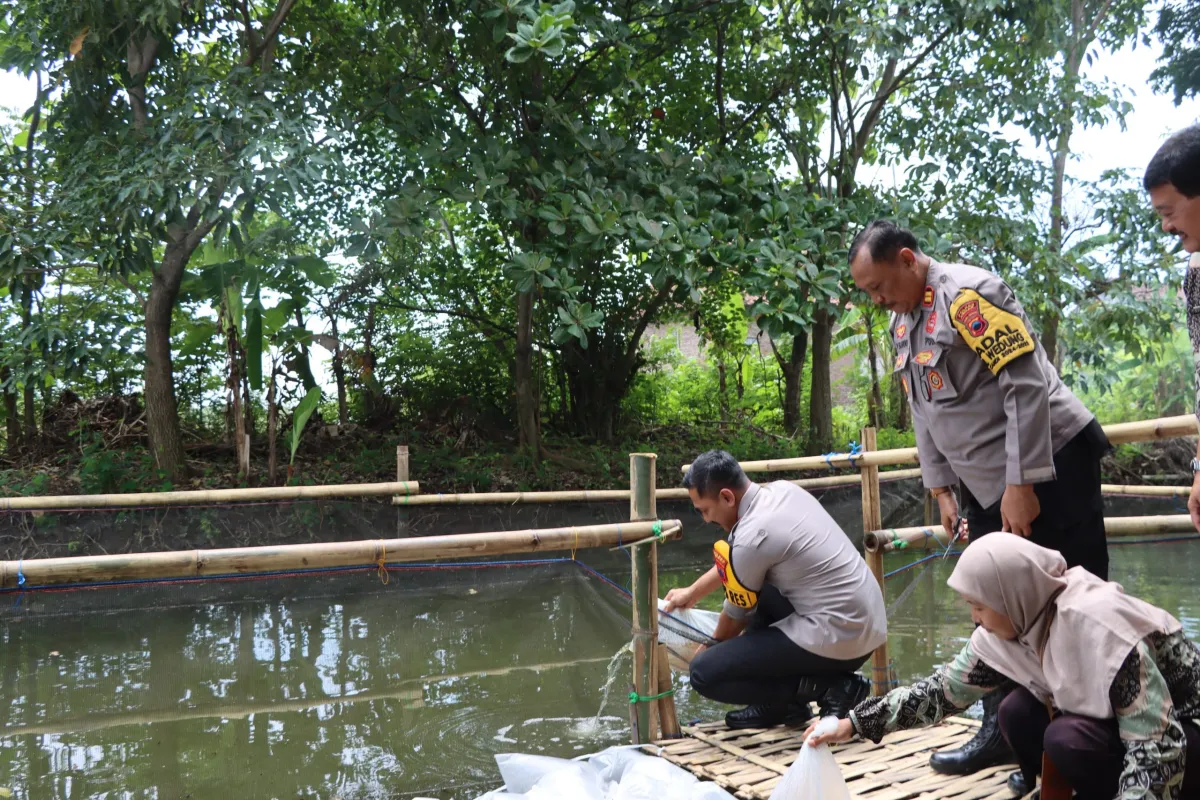 Polres Demak Tebar 6.000 Benih Ikan Nila, Perkuat Ketahanan Pangan Lokal