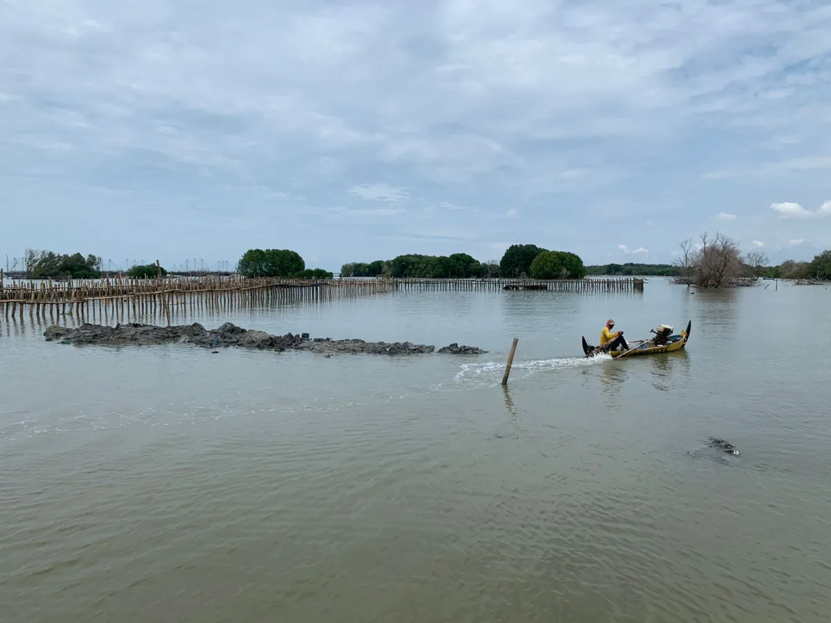 Kerugian Akibat Abrasi Meluas, Pesisir Demak Butuh Penanganan Mendesak