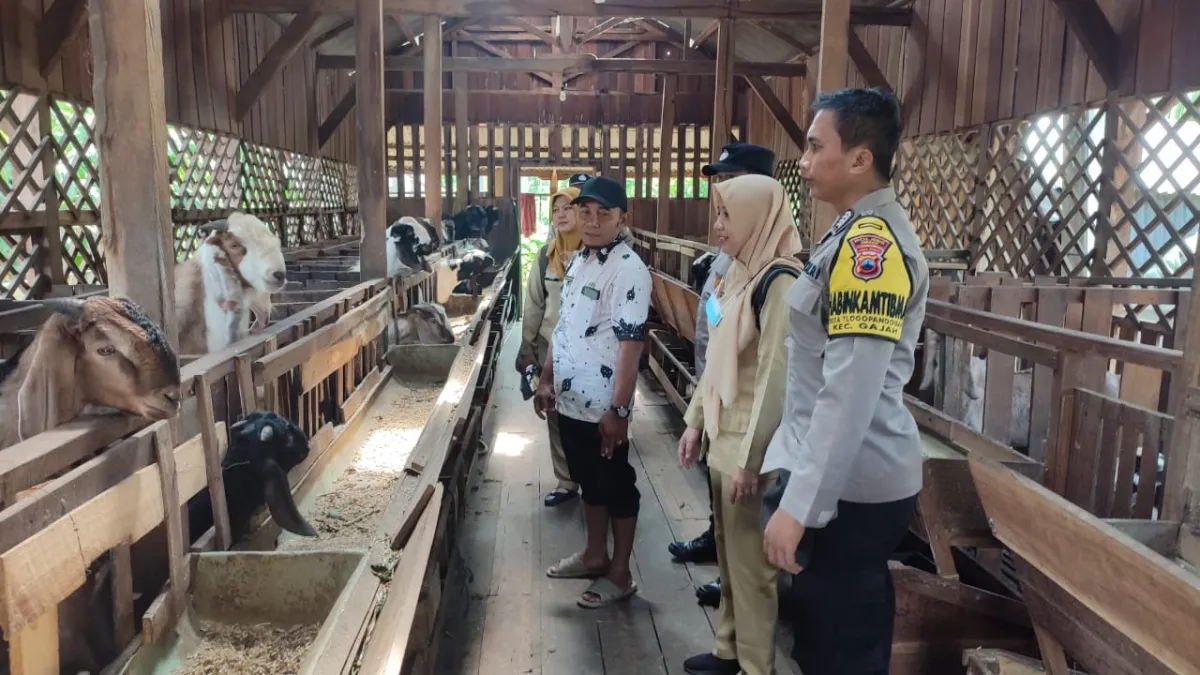 Polres Demak dan Dinpertanpangan Gencar Edukasi Peternak untuk Cegah PMK