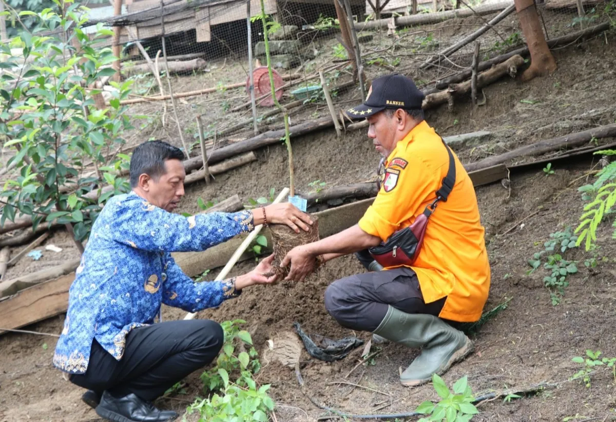ICMI Jawa Tengah Taman Pohon di DAS Tuntang, Sekda Demak: Upaya Menjaga Kelestarian Lingkungan