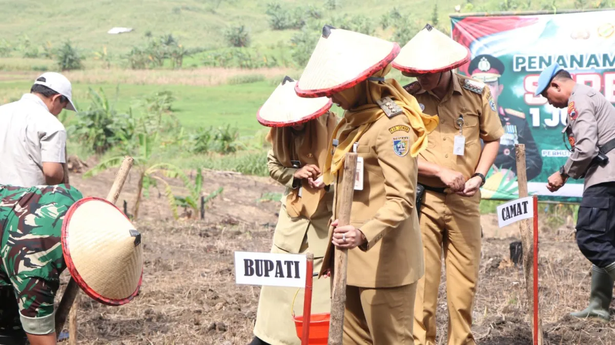 Bupati Eisti’anah Pimpin Tanam Jagung Serentak Di Desa Wonosekar Demak