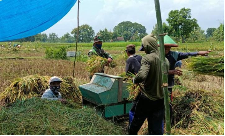 Manakala Bekerja Dilandaskan Pada Keimanan Dan Tuntunan Agama Maka Akan Bernilai Ibadah