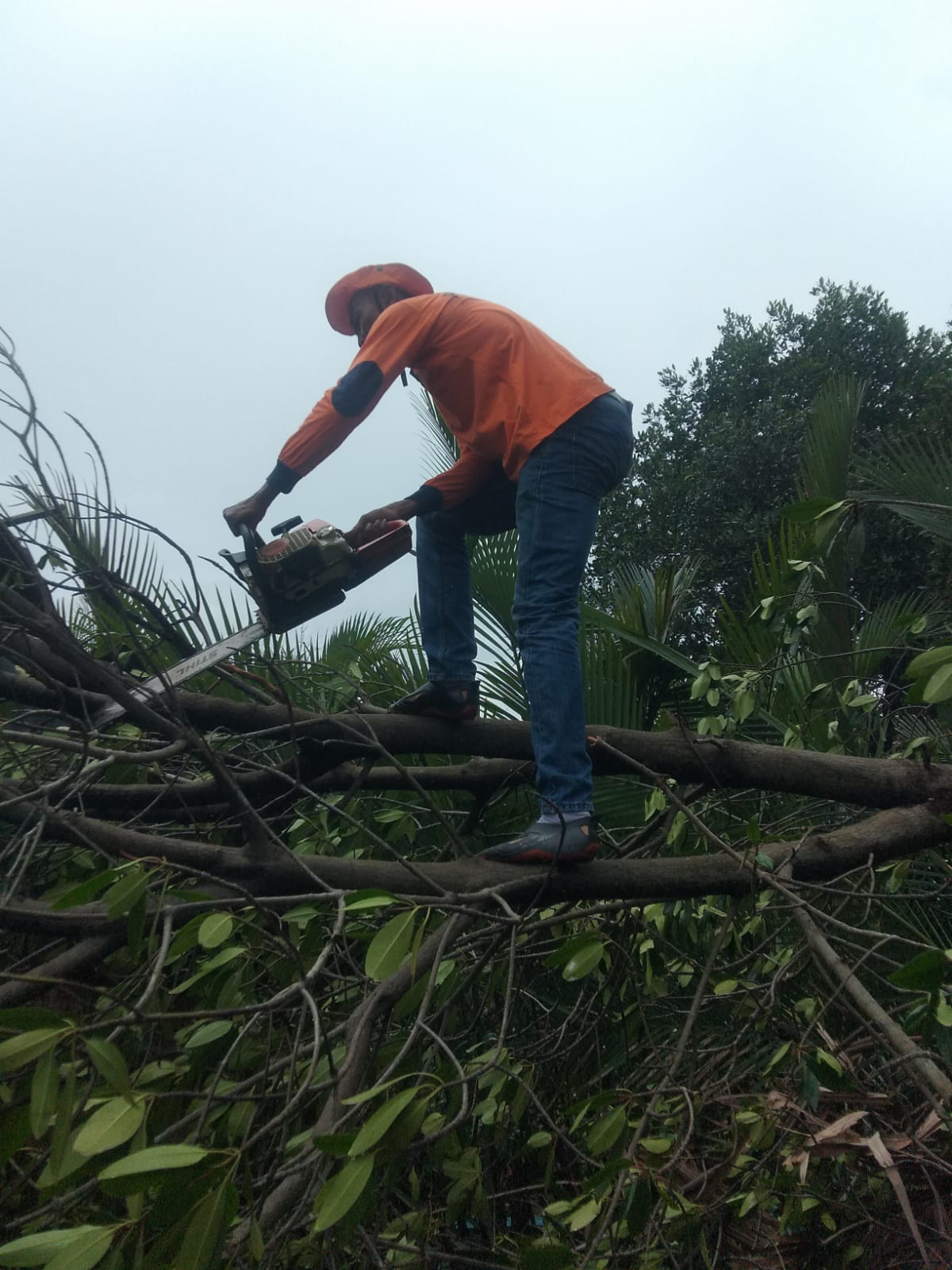 Bencana Alam di Demak; Angin Puting Beliung Robohkan 20 Rumah