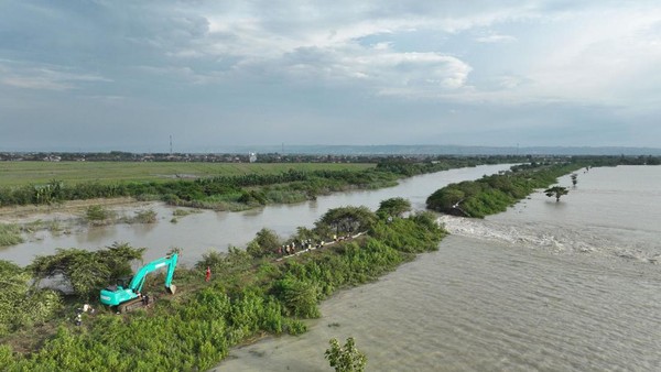 Mengenal Lebih Dekat Sungai Wulan dan Penyebab Banjir di Karanganyar Demak