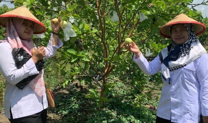 Agrowisata Petik Buah Desa Jerukgulung Berharap Dukungan Penuh dari Pemerintah